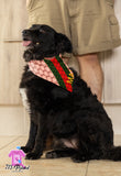 Dog Bandana Custom Name DOG-CCI Design With Button 2 colors