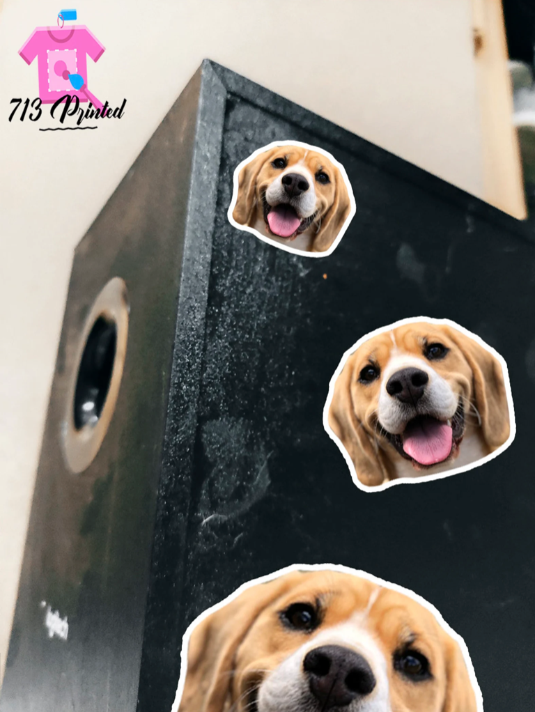 Custom FACE Sticker | Upload Any Image of Your Friends Face | Sticker funny gift 3 sizes