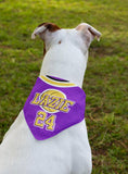 Custom Dog name Bandana Team Jersey Age Basketball With Button