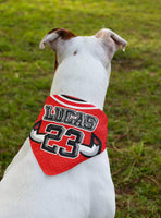 Custom Dog name Bandana Team Jersey Age Basketball With Button